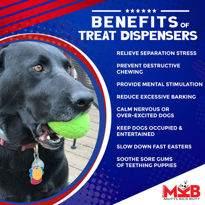 Dinosaur Egg eDispenser Durable Rubber Chew Toy & Treat Dispenser - Doot's Pet LLC Collars For A Cause