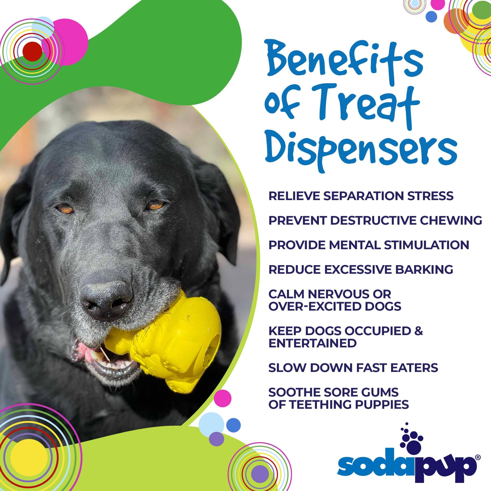 Honey Bear eDispenser Durable Rubber Treat Dispenser - Doot's Pet LLC Collars For A Cause