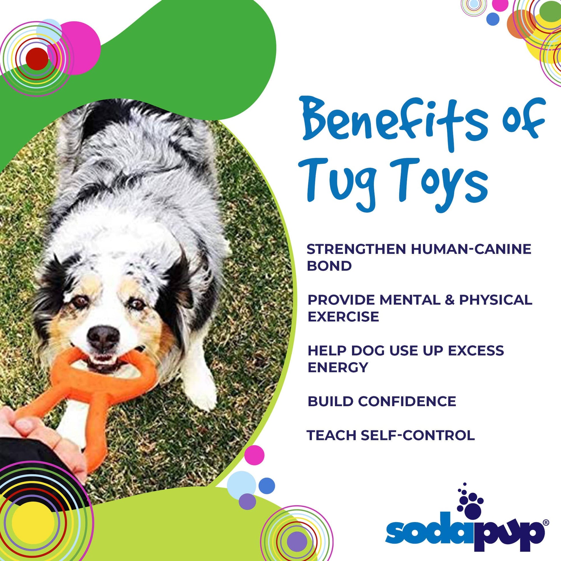 Pop Top Rubber Tug Toy for Interactive Play - Doot's Pet LLC Collars For A Cause