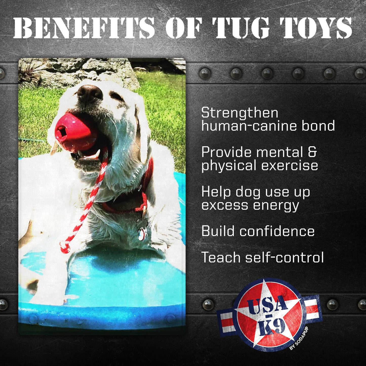 USA-K9 Cherry Bomb Durable Rubber Chew Toy, Treat Dispenser, Reward Toy, Tug Toy, and Retrieving Toy - Doot's Pet LLC Collars For A Cause