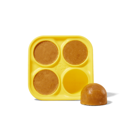 Woof - Pupsicle Treat Tray
