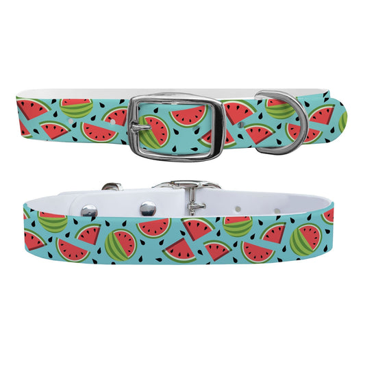Sliced Watermelon Dog Collar