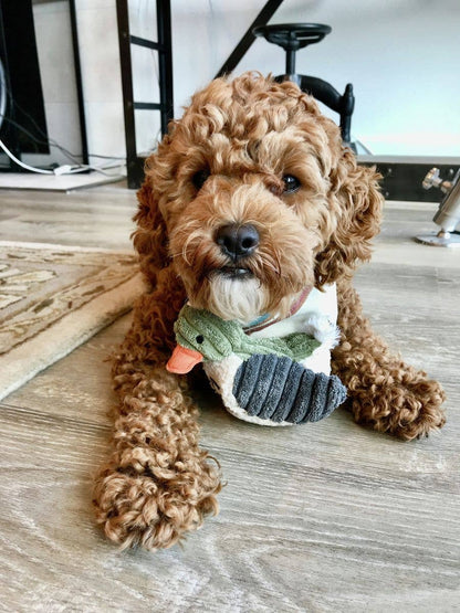 Tall Tails - Tall Tails Plush Duckling Squeaker Toy - 5"