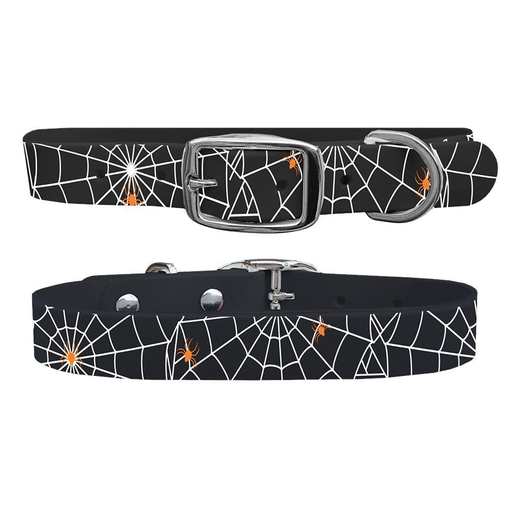 Spiderwebs Dog Collar