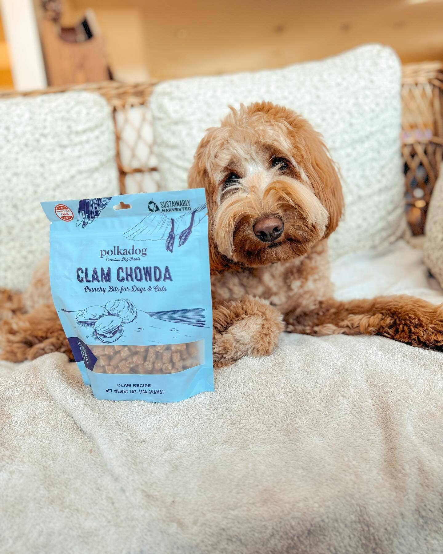 Polkadog Clam Chowda Training Bits Crunchy Dog & Cat Treats