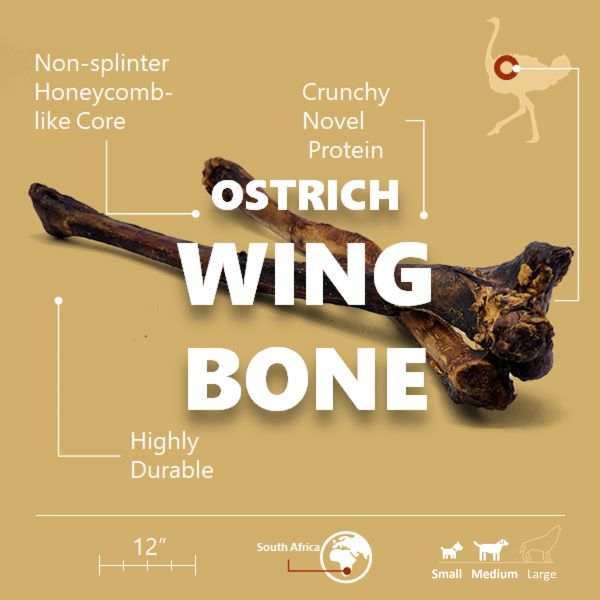 Ostrich Wing Bone (13" x 1.5"): The Ultimate Long-Lasting Chew for Small Dogs & Light Chewers - Doot's Pet LLC Collars For A Cause