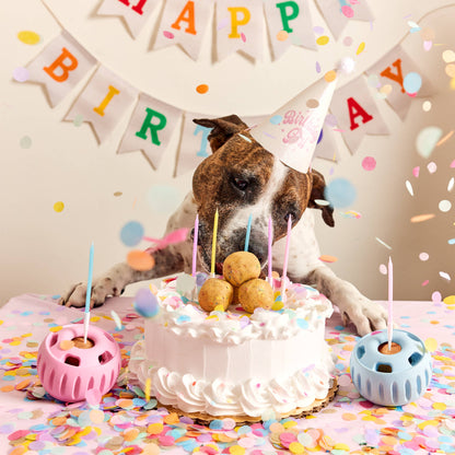 Woof - Party Pupsicle - Blue