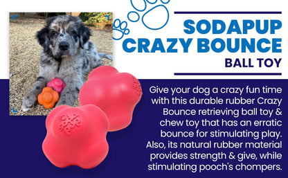 SodaPup - SP Crazy Bounce- Chew Toy - Retrieving Toy - Large Pink - Pink