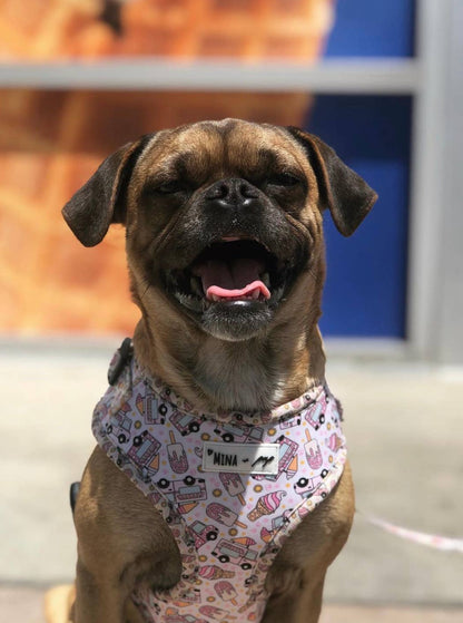 Mina + Pup - Ice Cream Dreams Adjustable Dog and Cat Harness