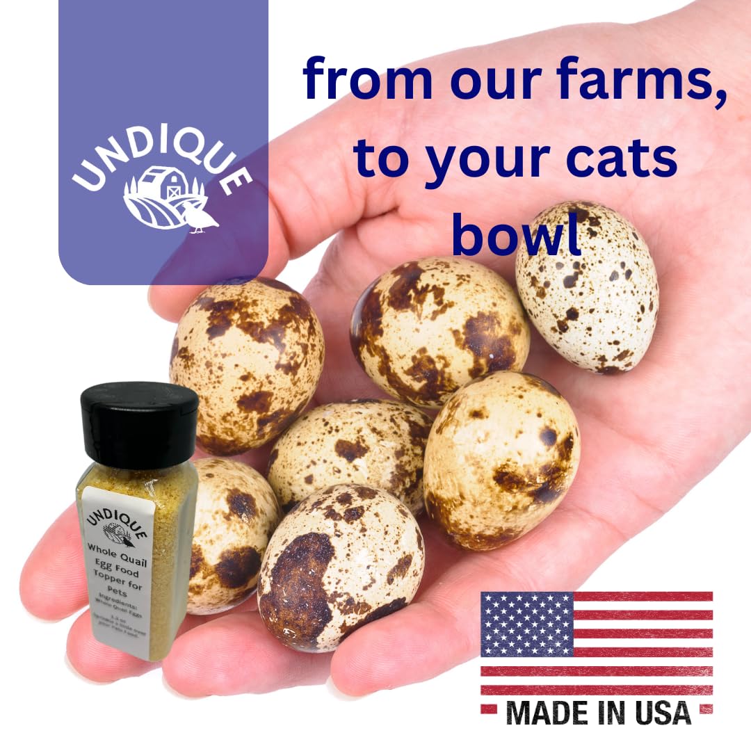 Quailicious Boost - Made in USA High-Protein Quail Egg Cat Food Topper, Freeze-Dried for Cat Digestive Health - Nutrient-Rich, Grain-Free Digestive Support for Cats, Ideal for Picky Eaters - Doot's Pet LLC Collars For A Cause