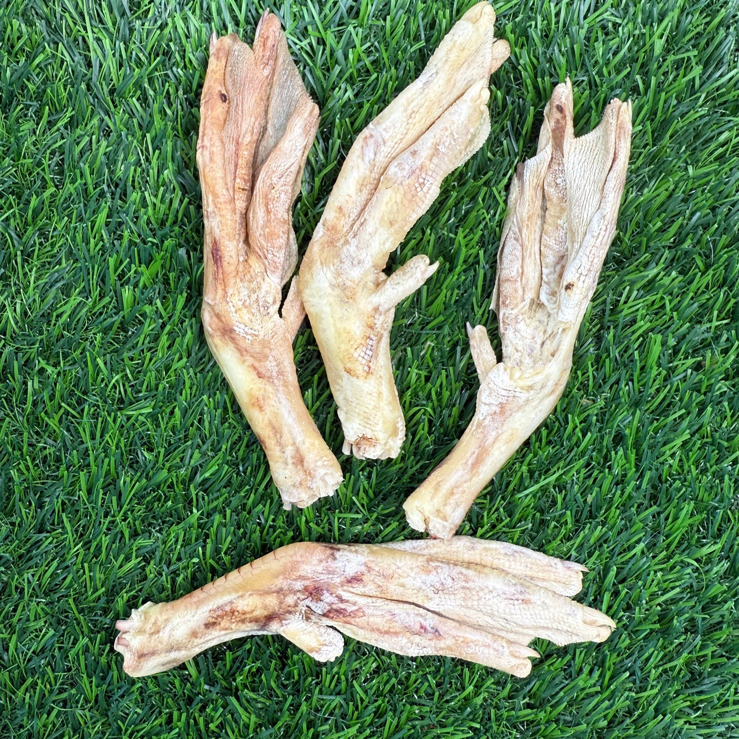 Doot's Chew Bar - Duck Feet - Freeze-Dried Treat/Chew for Dogs - Single