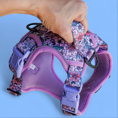 Dizzy Dog Collars - No Pull Dog Harness | Step in | Reflective | Heavy Duty | Easy Reach Handle | Lilac Floral - Medium/Large