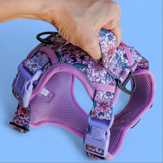 Dizzy Dog Collars - No Pull Dog Harness | Step in | Reflective | Heavy Duty | Easy Reach Handle | Lilac Floral - Medium/Large