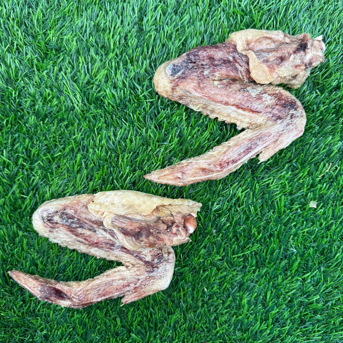 Doot's Chew Bar - Golden Nibbles - Duck Wing - Freeze-Dried Treat/Chew for Dogs