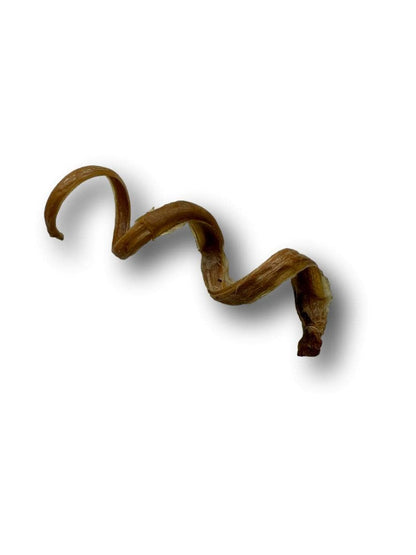 Healthy Dog Chews - Pork Pizzle Springs 6" (PE0106PS) -Single