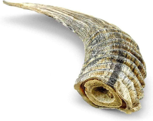 Doot's Chew Bar - Willy's Wags Natural Pet Treats - Natural Lamb Horn Dog Chew Treat