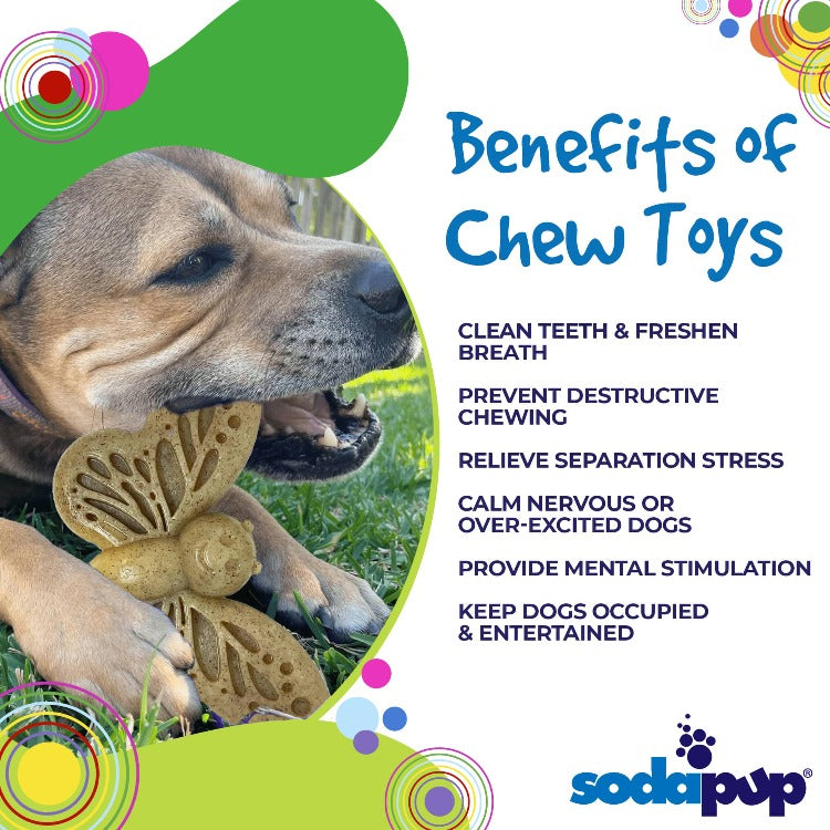 Butterfly Nylon Chew & Enrichment Toy | 2-in-1 for Aggressive Chewers | SodaPup - Doot's Pet LLC Collars For A Cause