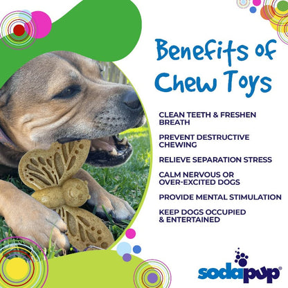 Butterfly Nylon Chew & Enrichment Toy | 2-in-1 for Aggressive Chewers | SodaPup - Doot's Pet LLC Collars For A Cause