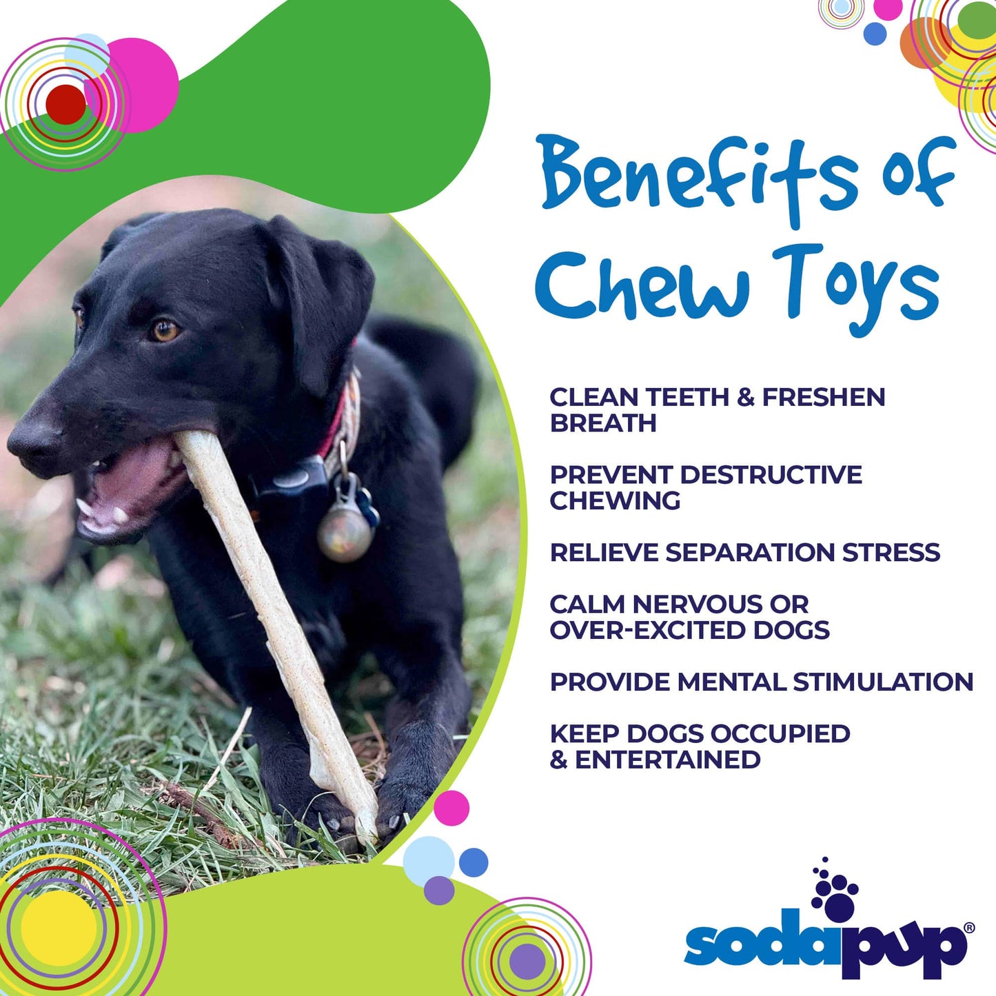 Durable Nylon Chew Stick for Power Chewers | Indestructible Dog Toy USA - Doot's Pet LLC Collars For A Cause