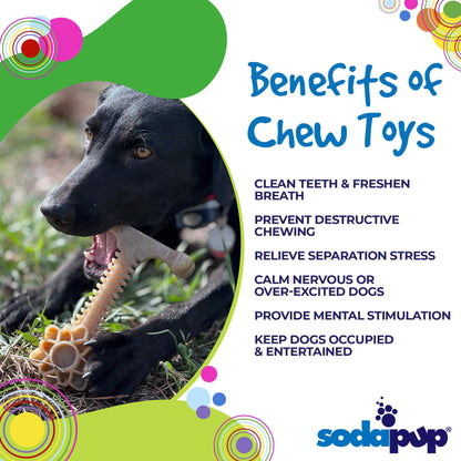 Honey Bone Dental Flower Tower - Indestructible Nylon Dog Chew Toy XL | USA - Doot's Pet LLC Collars For A Cause