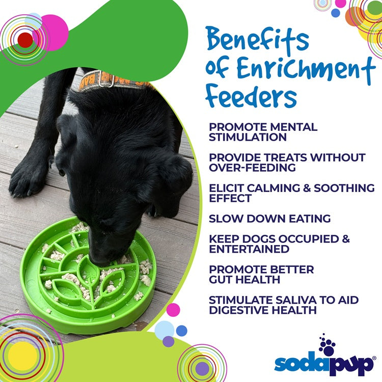 Garden Design eTray - Shallow Slow Feeder Dog Bowl for Enrichment | USA - Doot's Pet LLC Collars For A Cause
