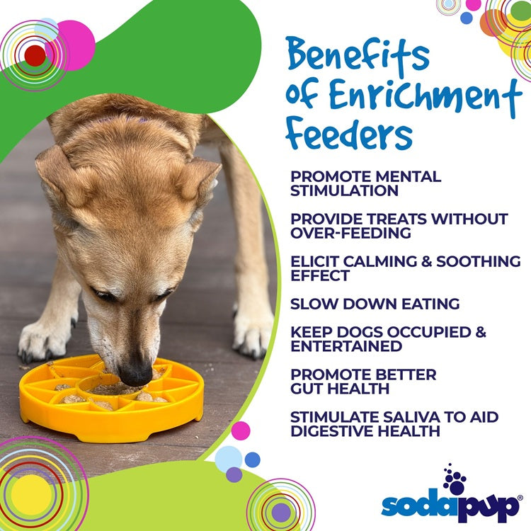 Sunflower eTray Shallow Slow Feeder Dog Bowl for Enrichment | USA Made - Doot's Pet LLC Collars For A Cause