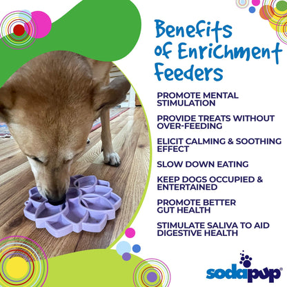 Mandala Softie eTray Shallow Slow Feeder Dog Bowl with Suction Cups |  USA Made - Doot's Pet LLC Collars For A Cause