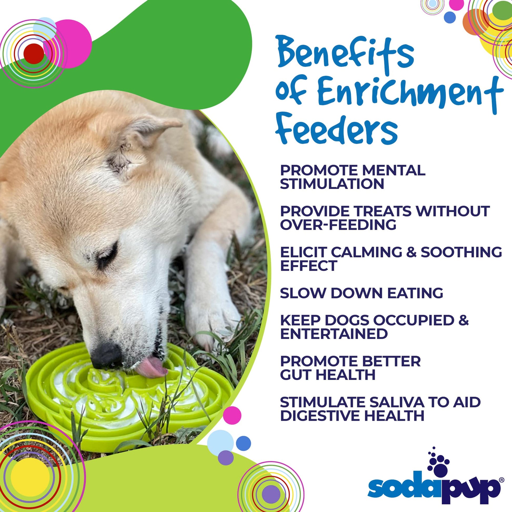 Water Frog eTray - Shallow Slow Feeder Dog Bowl for Enrichment | USA Made - Doot's Pet LLC Collars For A Cause