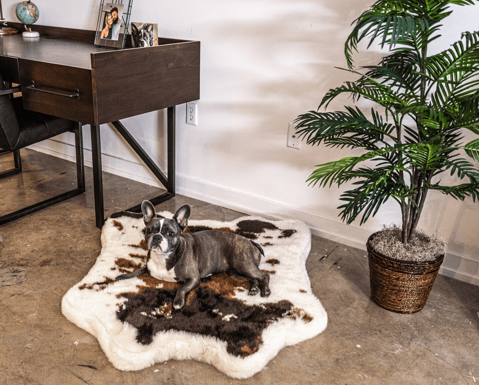 PupRug® Animal Print Memory Foam Dog Bed - Brown Faux Cowhide - Doot's Pet LLC Collars For A Cause