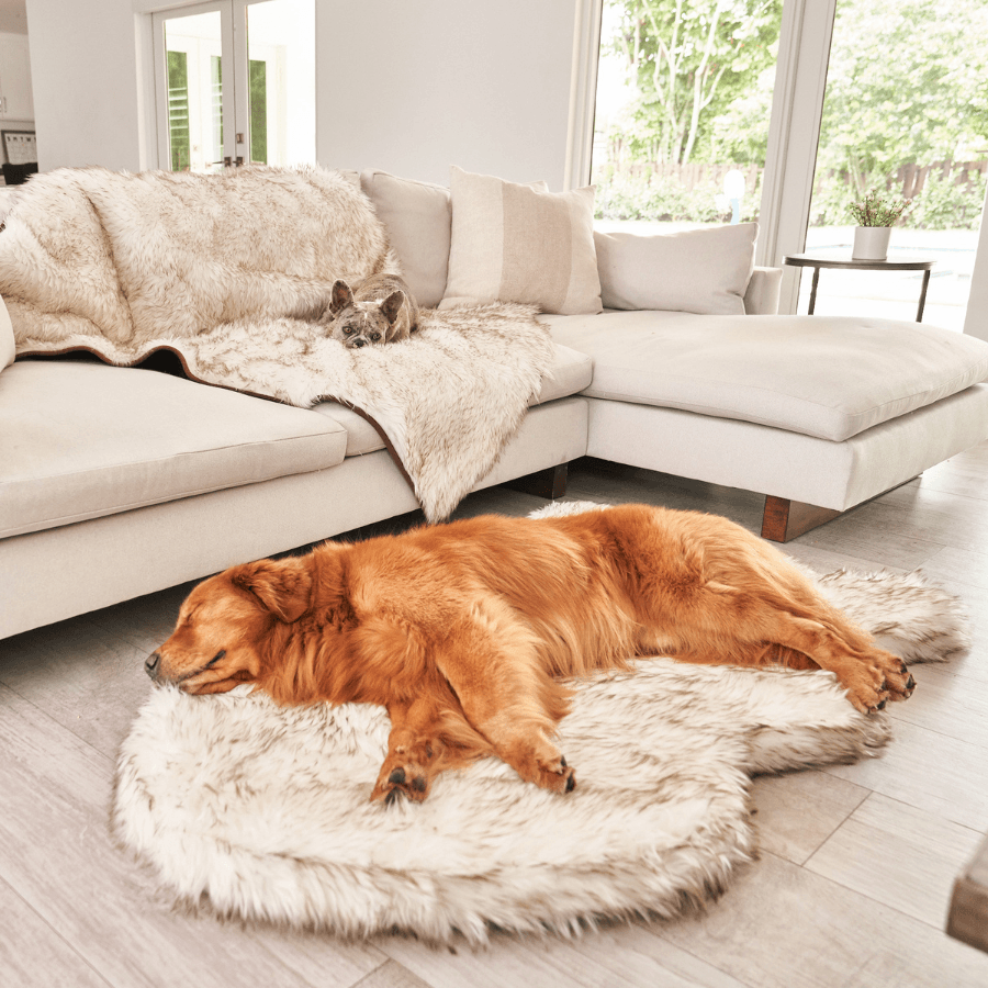 PupRug by Paw.com® Faux Fur Orthopedic Dog Bed - Curve White with Brown Accents - Doot's Pet LLC Collars For A Cause