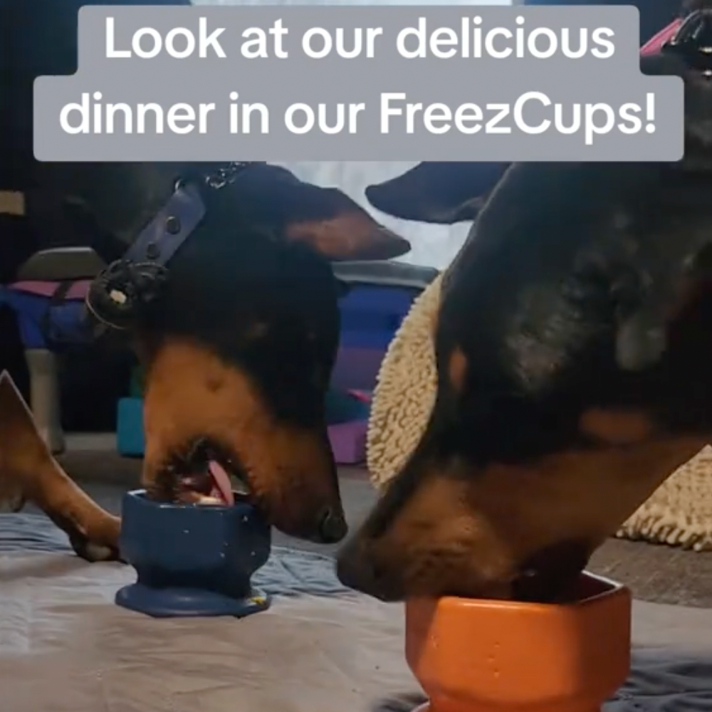 FreezCup - Long-Lasting Chew Fun - Doot's Pet LLC Collars For A Cause