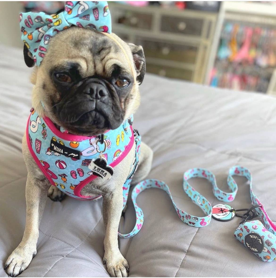 Mina + Pup - POOL DAY  DOG OR CAT ADJUSTABLE HARNESS
