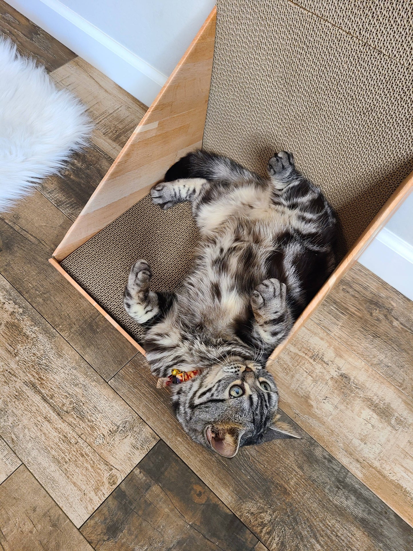 MOON-X USA, INC. - Stretch & Scratch Wall Cat Scratcher