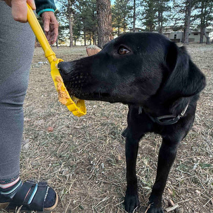 SodaPup Dog Toys - Lick Stick Hand-Held Interactive Enrichment Toys - Beehive Lick Stick - yellow