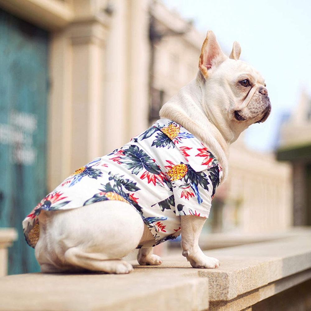 Hawaiian Pet Shirts - Doot's Pet LLC Collars For A Cause