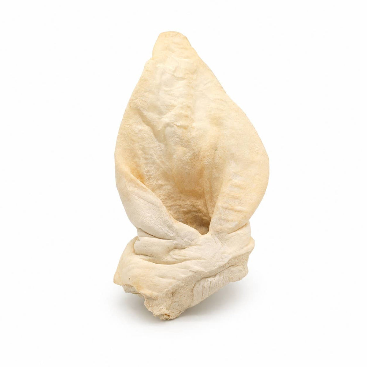 Doot's Chew Bar - White Puffed/Coned Water Buffalo Ear