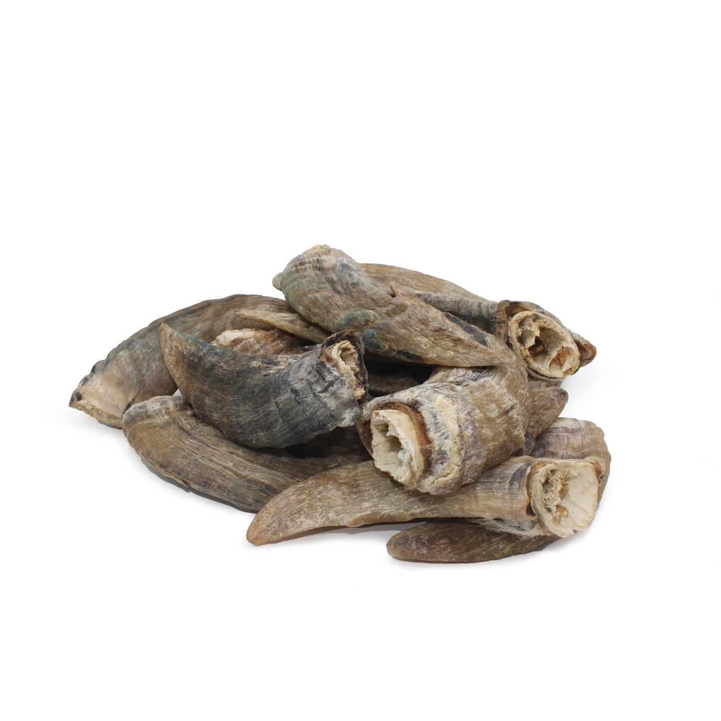 Doot's Chew Bar - Icelandic+ Small Lamb Horn with Marrow Dog Treat