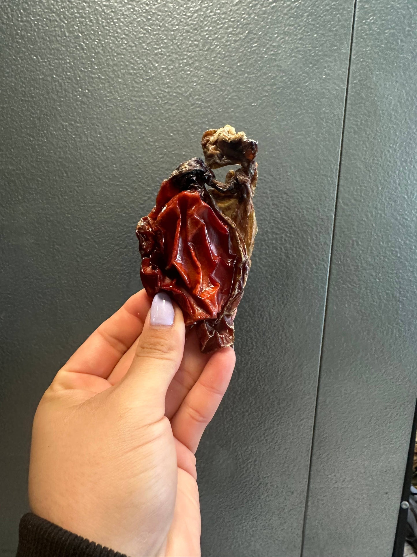 Doot's Chew Bar - Bull Testical