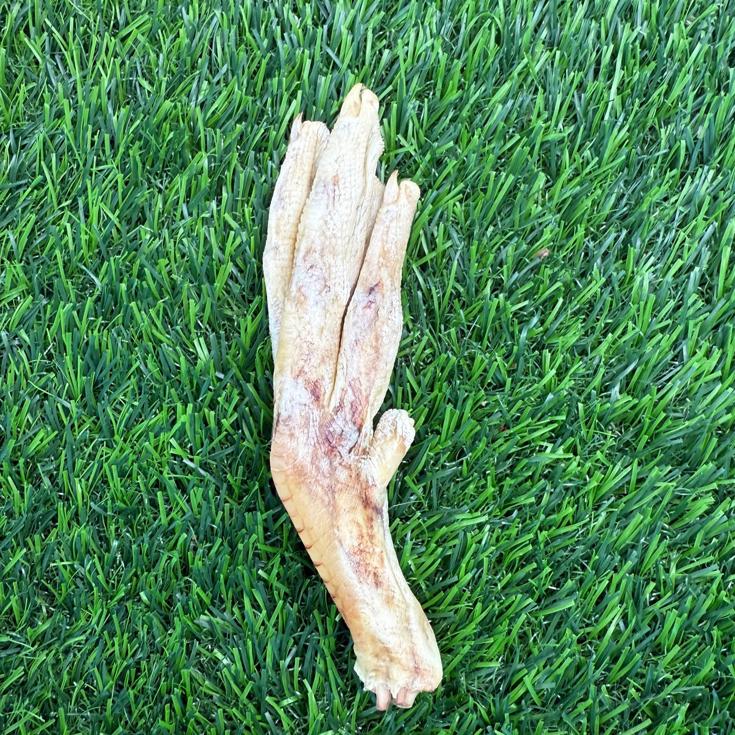 Doot's Chew Bar - Duck Feet - Freeze-Dried Treat/Chew for Dogs - Single