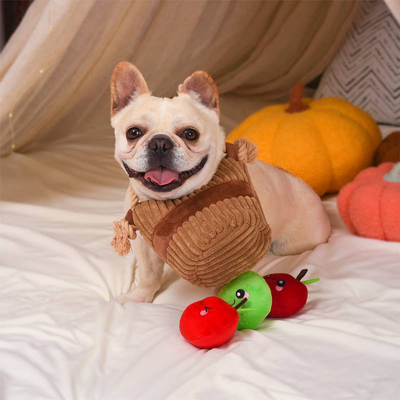 Hugsmart Products Inc - HugSmart Pet - Autumn Tailz  | Apple Basket -Interactive Toy