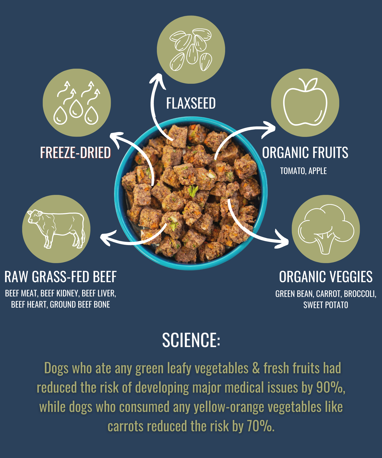 PREMIUM RAW FREEZE DRIED DOG FOOD BEEF - Doot's Pet LLC Collars For A Cause