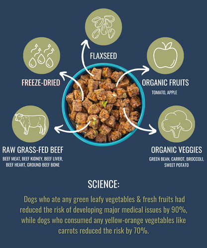 PREMIUM RAW FREEZE DRIED DOG FOOD BEEF - Doot's Pet LLC Collars For A Cause