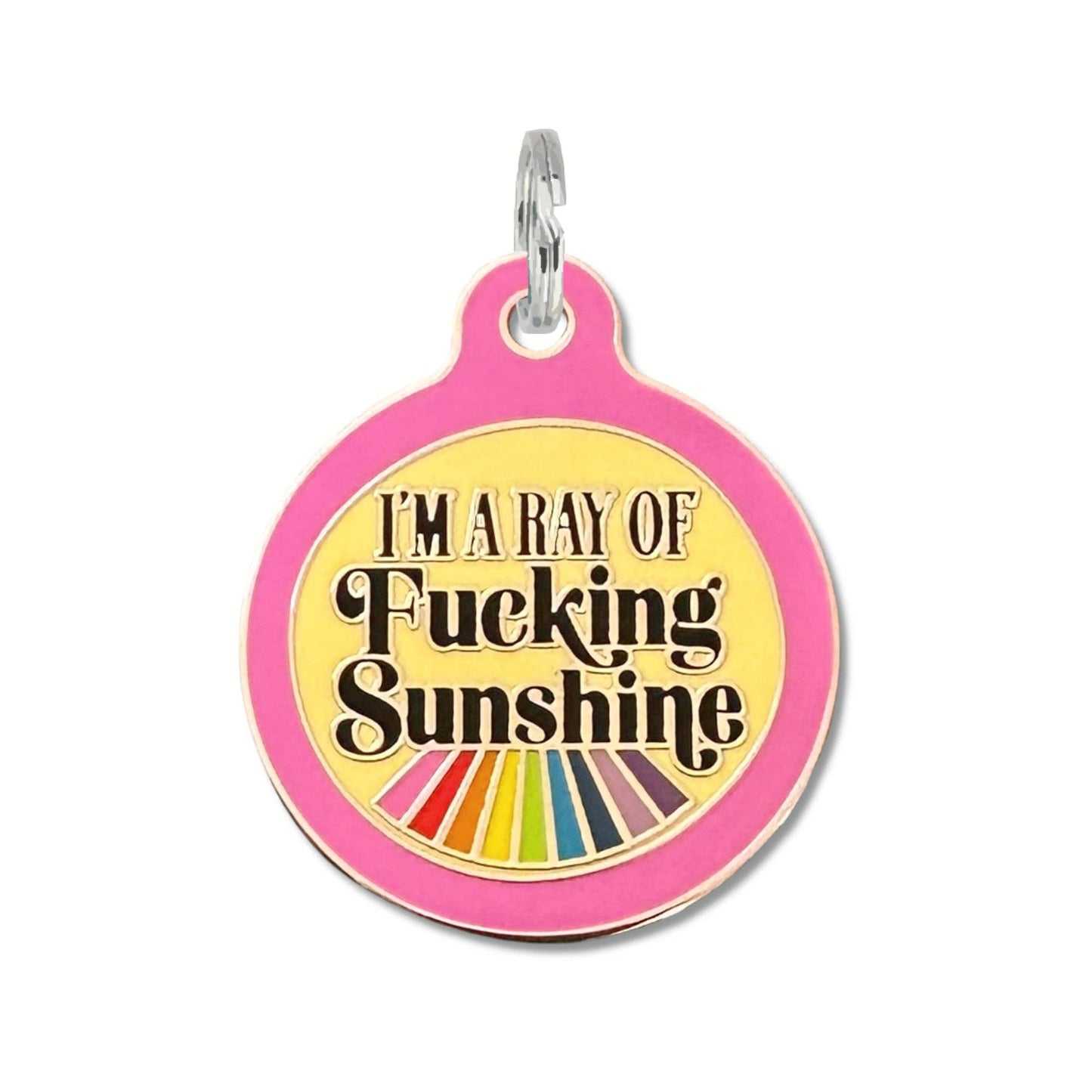 Bad Tags - Dog ID Tag with Personalized QR - Ray of Fucking Sunshine - Large / Teal / Engraved QR Code