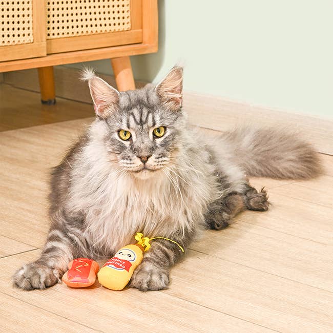 Hugsmart Products Inc - HugSmart Pet - Kitten Party | Foodie Feline  - Cat Toy