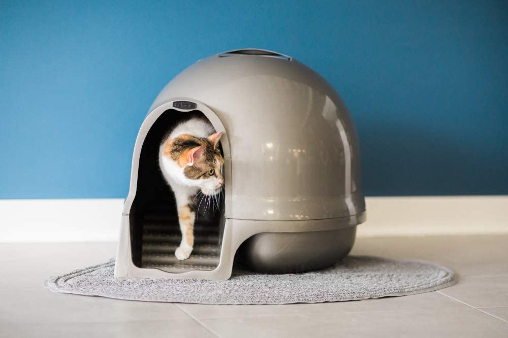 Dome Litter Pan for Cats