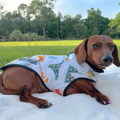 Cabana Club Dog Coat - Doot's Pet LLC Collars For A Cause