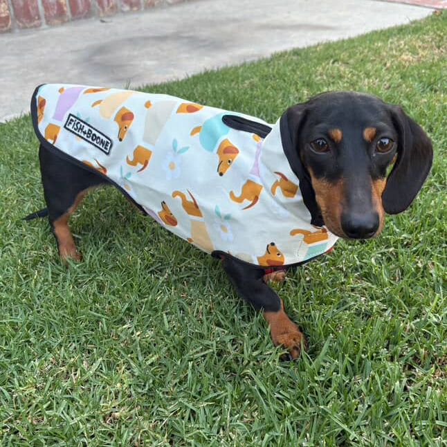 Dachshunds & Daisies Dog Coat - Doot's Pet LLC Collars For A Cause