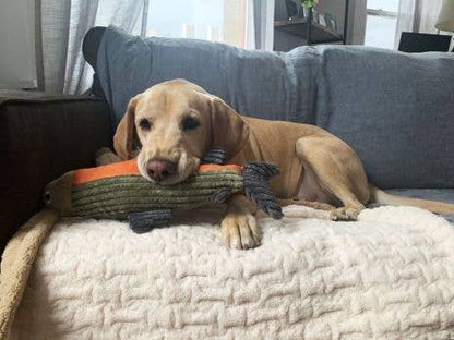 Tall Tails - Tall Tails Plush Fish Squeaker Toy - 12"