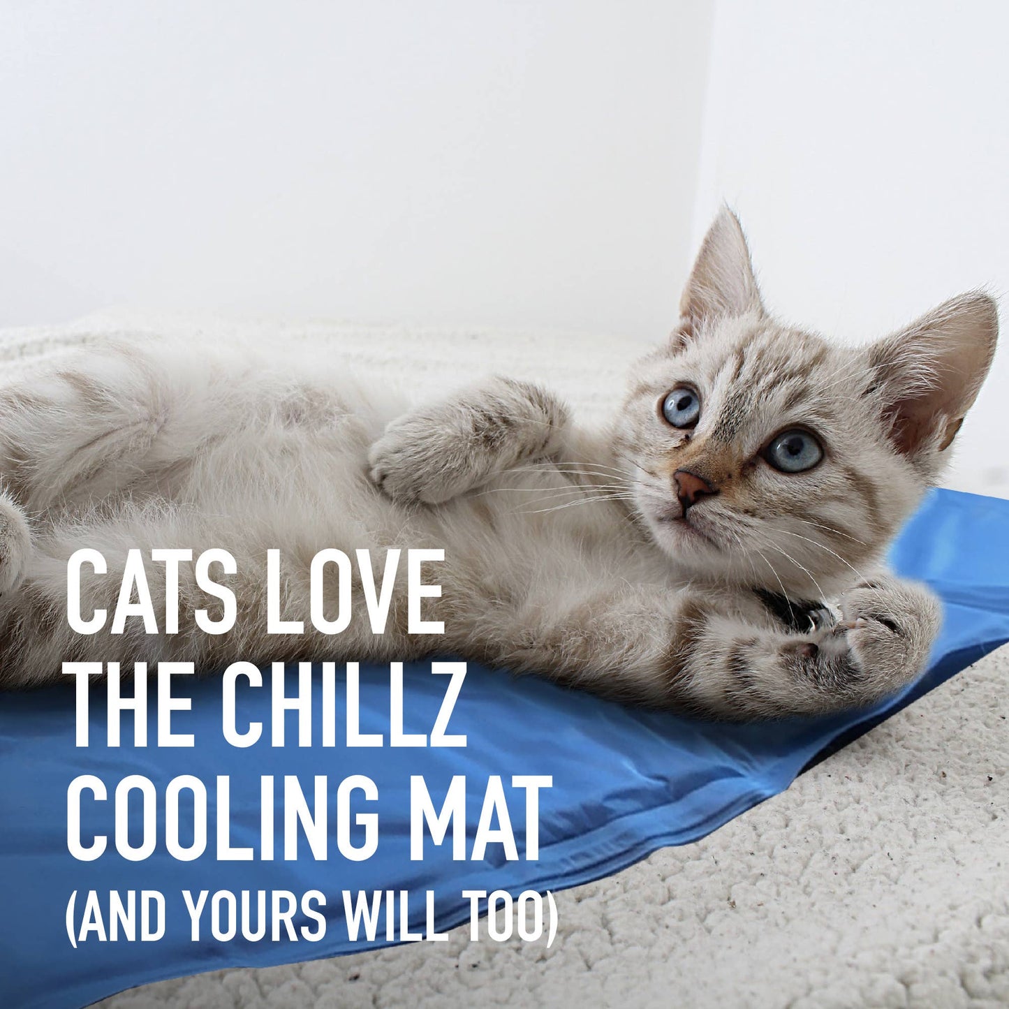 The Green Pet Shop - Chillz Gel Mat