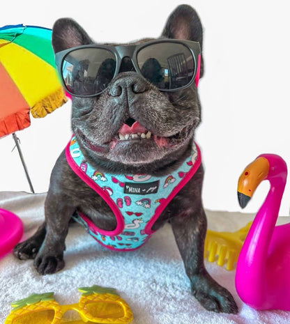 Mina + Pup - POOL DAY  DOG OR CAT ADJUSTABLE HARNESS
